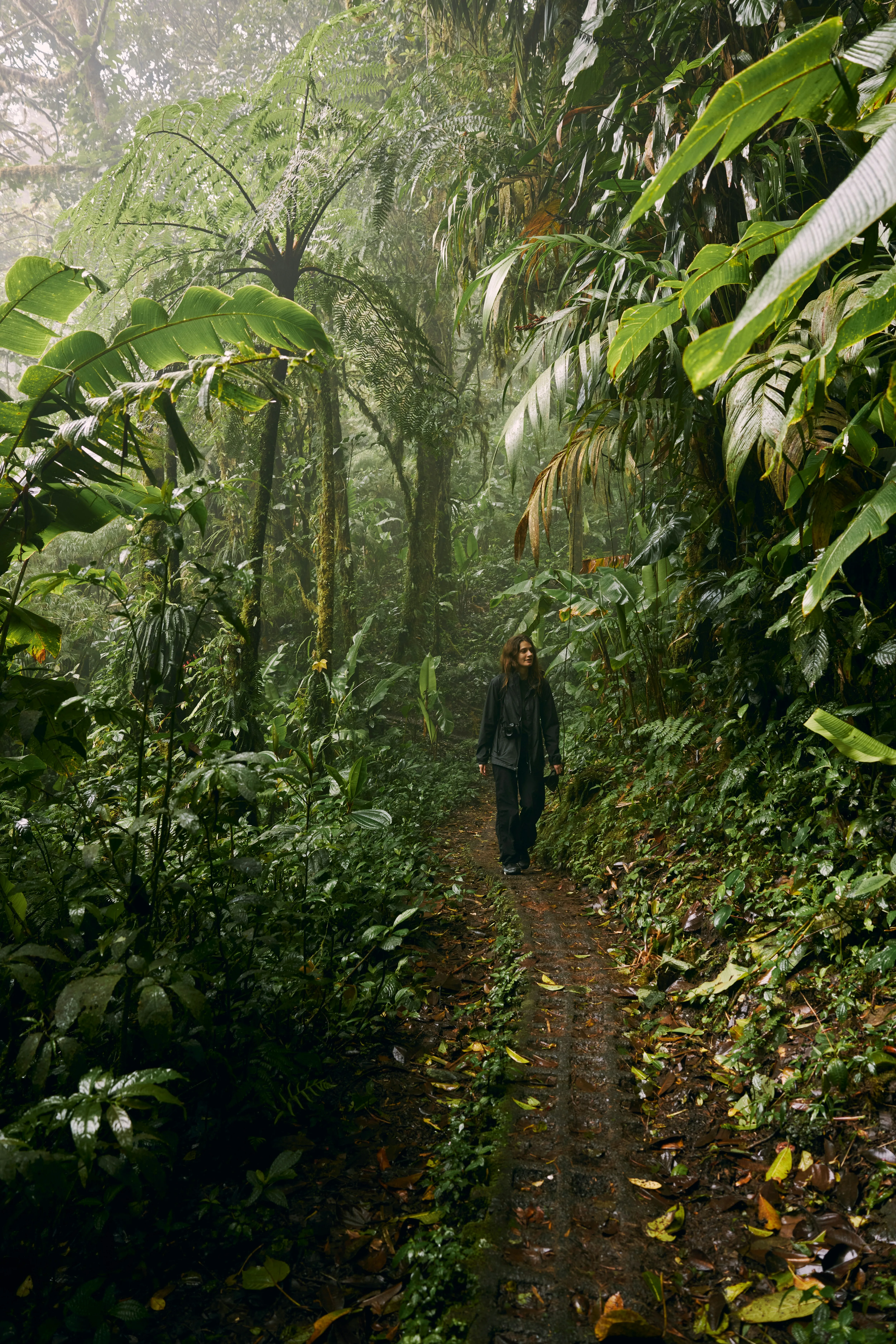 Baseline complete at Hillview Park